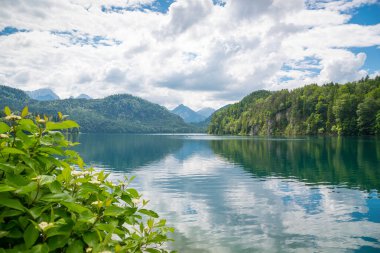 Mavi yeşil orman ve güzel Alps dağlar Alpsee göl. Fussen, Bavyera, Almanya