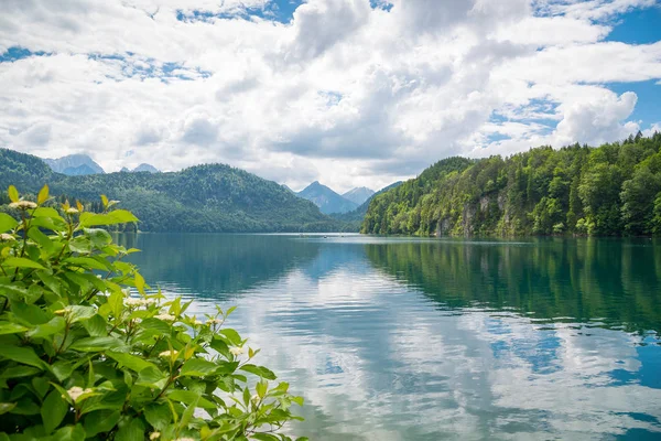 Modré jezero Alpsee v zelených lesů a krásné hory Alpy. Fussen, Bavorsko, Německo Royalty Free Stock Obrázky