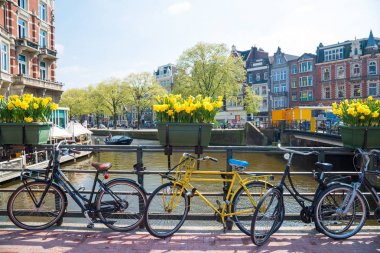 Bisiklet üzerinde köprü amsterdam Hollanda