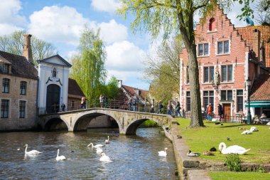 Bruges, Belçika - 17 Nisan 2017: Kuğular gölde aşk Bruges, Begijnhof yakınındaki kanal panoramik görünümü