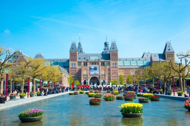 Amsterdam, Hollanda - 20 Nisan 2017: Rijksmuseum - ulusal devlet Müzesi önünde güzel laleler olduğunu popüler bir turistik hedef Amsterdam, Hollanda