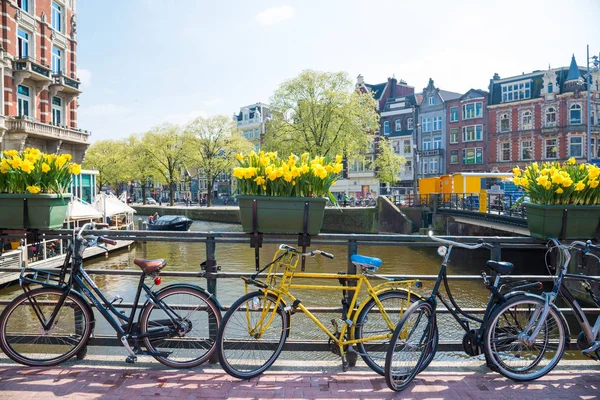 Amsterdam, Hollanda-20 Nisan 2017: Amsterdam Hollanda 'da köprüde çiçekler ile Bisikletler.