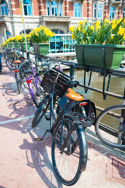 Амстердам Нидерланды Апреля 2017 Года Велосипеды Цветами Тюльпанов Амстердаме Нидерланды — стоковое фото