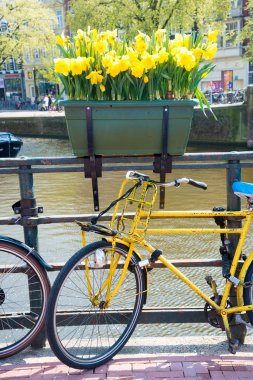 Bisiklet üzerinde köprü amsterdam Hollanda.