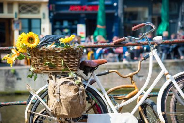 Hollandalı şehir Amsterdam kanal köprüde eski bisiklet Çiçekli bahar görünümü