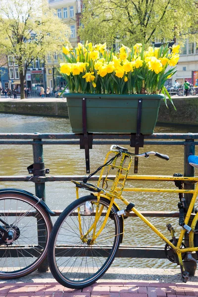 Желтый Велосипед Мосту Амстердаме Нидерланды — стоковое фото