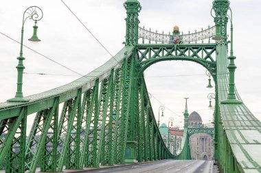 BUDAPEST, HUNGARY - 21 Şubat 2016: Budapeşte, Macaristan 'da Görkemli Özgürlük Köprüsü