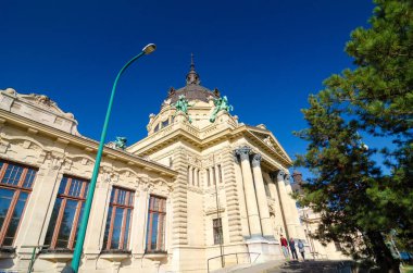 BUDAPEST, HUNGARY - 22 Şubat 2016: Macaristan 'ın Budapeşte kentinde Szechenyi Tıbbi Termal Banyo ve Spa