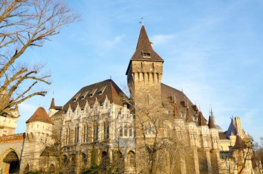 BUDAPEST, HUNGARY - 22 Şubat 2016: Dracular Kalesi olarak da bilinen ünlü turizm merkezi Vajdahunyad Şatosu.