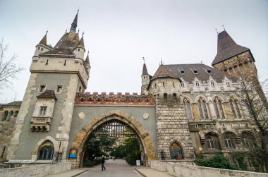Vajdahunyad Şatosu, Macaristan 'ın Budapeşte kentinde yer alan bir kaledir..