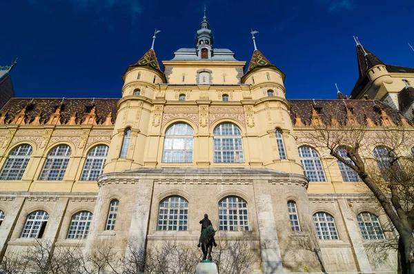 Budapest Maďarsko February 2016 Exteriér Muzea Zemědělství Budapešti Maďarsko — Stock fotografie