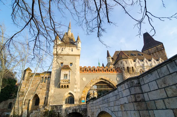 Budapest Hongrie Février 2016 Célèbre Attraction Touristique Château Vajdahunyad Également — Photo