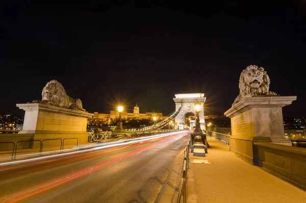 Nachtansicht Der Szechenyi Kettenbrücke Über Die Donau Und Des Steinlöwen — Stockfoto