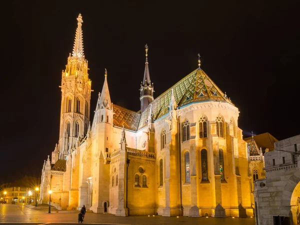 Budapest Hungary February 2016 Night View Matthias Church Budapest Hungary — Stock Photo, Image