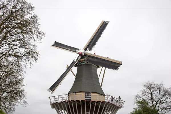 前景に鮮やかなチューリップを持つ伝統的なオランダの風車 アムステルダム オランダ — ストック写真