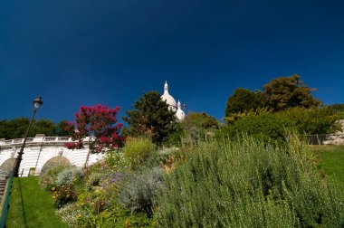 Güzel pembe ağaç ve İsa 'nın Kutsal Yüreği Bazilikası yakınlarında çiçekler. Bir Roma Katolik kilisesi. Montmartre Bulvarı 'nın zirvesinde. Paris, Fransa.