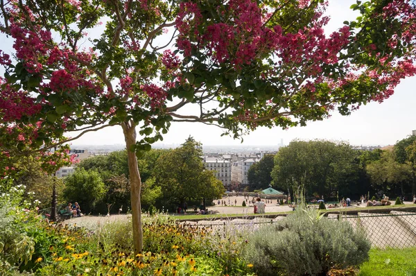 Párizs Sept 2014 Rózsaszín Virágokkal Városkép Párizs Irányába Bazilika Szent — Stock Fotó