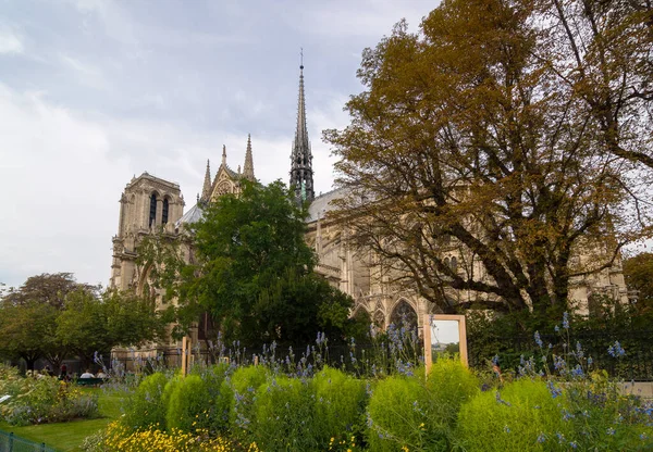 Bloemen Bomen Bij Katholieke Kathedraal Notre Dame Paris Gebouwd Franse — Stockfoto