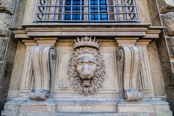 Lion Head Relief Facade Pitti Palace Florence Tuscany Italy — Stock Photo, Image
