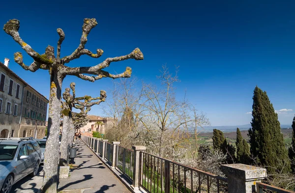 Mała Uliczka Zabawnymi Drzewami Widokiem Włoskie Wzgórza Montepulciano Toskania Włochy — Zdjęcie stockowe