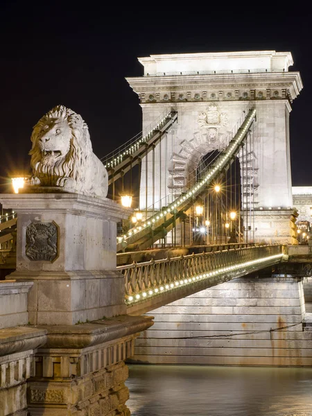 Kedjebron Budapest Kvällen Sightseeing Ungern — Stockfoto