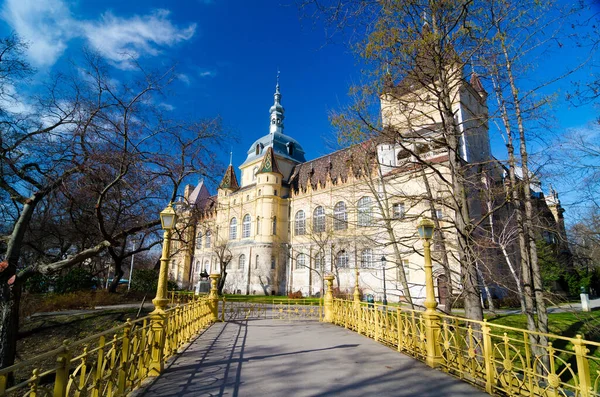 Budapest Maďarsko February 2016 Exteriér Muzea Zemědělství Budapešti Maďarsko — Stock fotografie