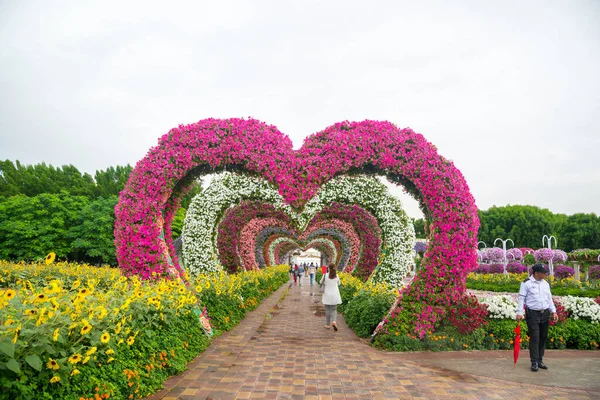 DUBAI, BAE - 20 Kasım 2019 Kupa Sokağı 'nda kalp şeklinde çiçek tarhları. Dubai Mucize Bahçesi olağanüstü çiçek tesisleriyle ünlüdür..