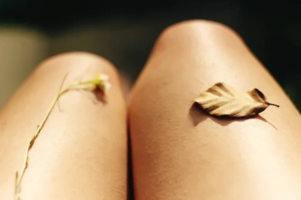 Жіночі ноги з квіткою і листям — стокове фото