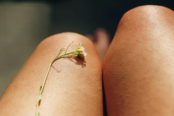 Жіночі ноги з квіткою і листям — стокове фото