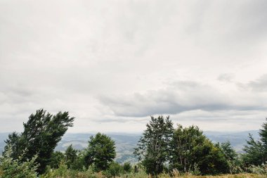 güzel ağaçlar ve gökyüzü bulutlar