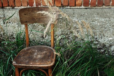 eski ahşap sandalye ve çim