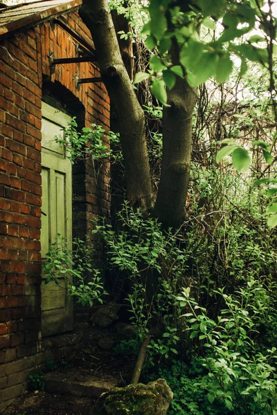 온실에 오래 된 벽돌된 벽 — 스톡 사진
