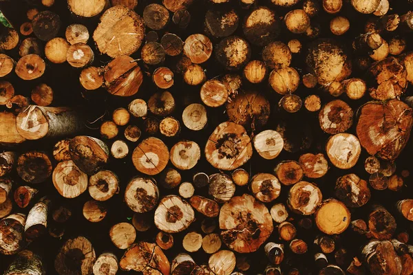 Куча сложенных круглых дров — стоковое фото