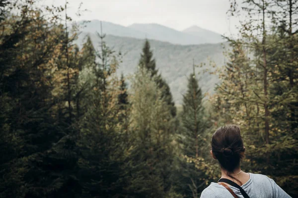 Hipster-Reisender blickt auf Wälder — Stockfoto