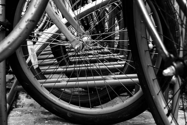 Колеса припаркованных велосипедов — стоковое фото