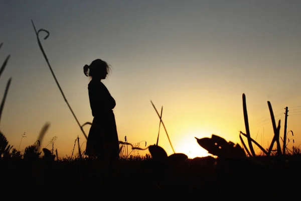 Mujer silueta y hierba — Foto de Stock