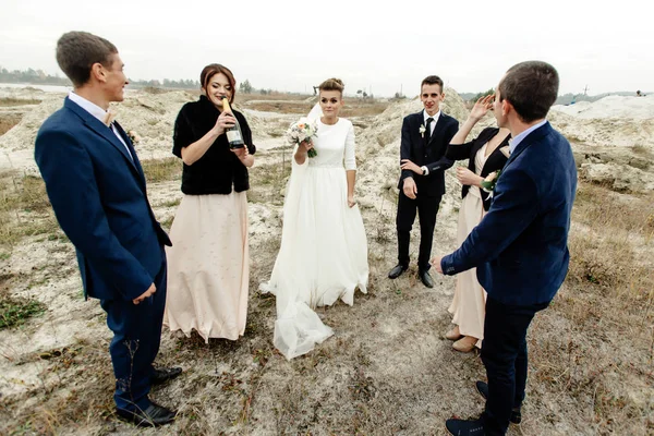 Bride and groom with  groomsmen and bridesmaids — Stock Photo, Image