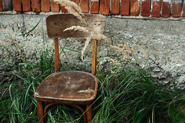 Старий дерев'яний стілець і трава — стокове фото