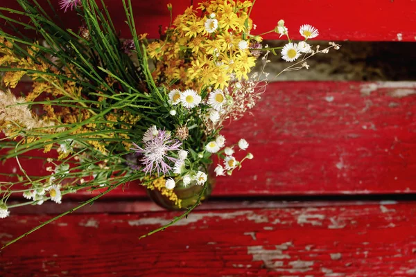 野生の花の素朴な花束 — ストック写真