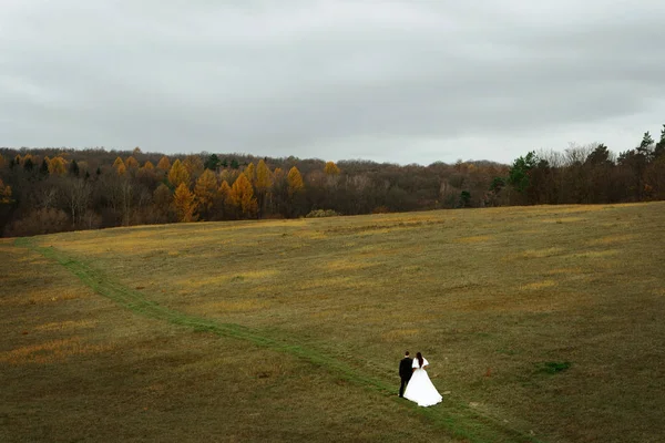 Felice sposa e sposo a piedi — Foto Stock