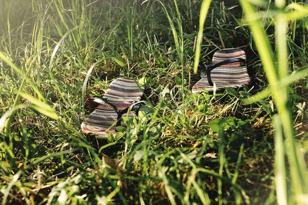Chinelos coloridos chinelos chinelos na grama no piquenique, férias de verão — Fotografia de Stock