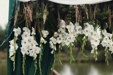 güzel beyaz Kılıç çiçeği ve kır çiçekleri 