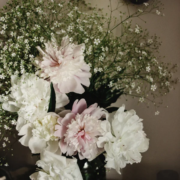 Beautiful pink and white peonies — Stock Photo, Image