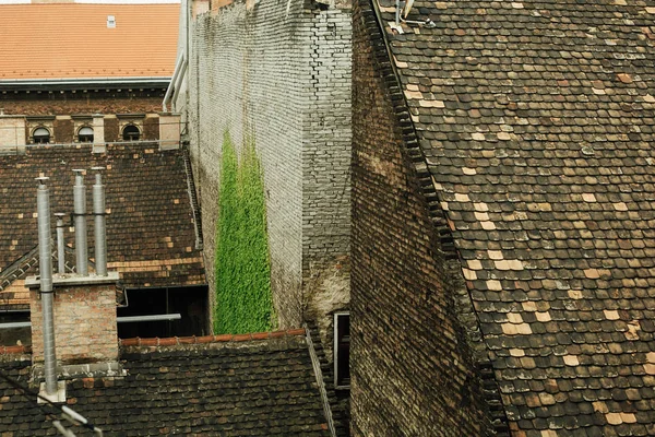 Beautiful view old roof — Stock Photo, Image