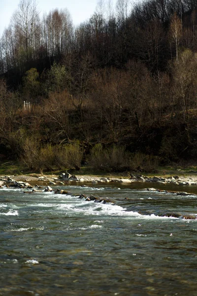 nehir ve orman güzel manzaraya
