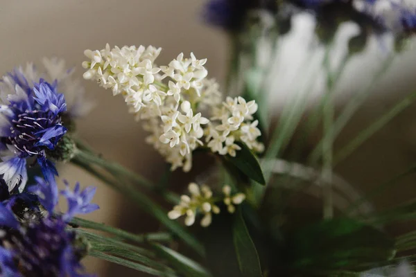 ดอกไม้ป่าสีขาวที่น่าทึ่ง — ภาพถ่ายสต็อก