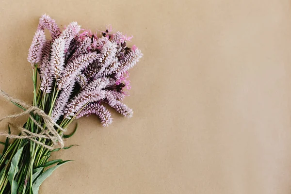 美丽的紫色和粉色的花朵 — 图库照片