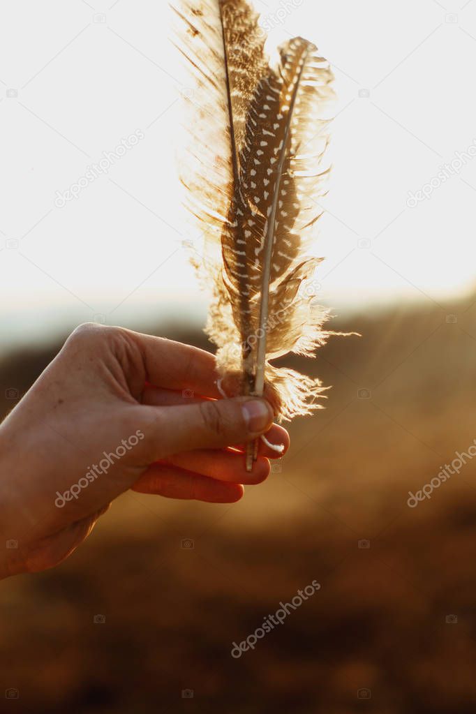 Woman hand holding feathers — Stock Photo © Sonyachny 139816626