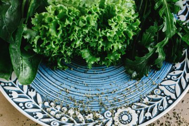 lezzetli taze salata roka ıspanak