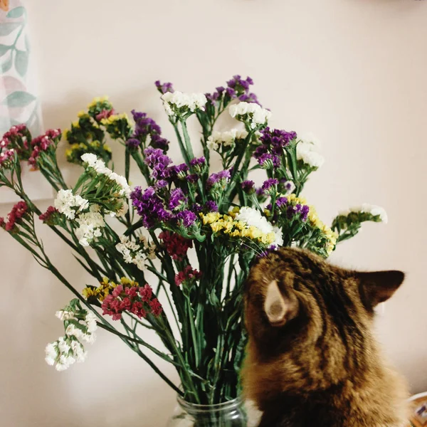 Färgglada fantastiska blommor — Stockfoto